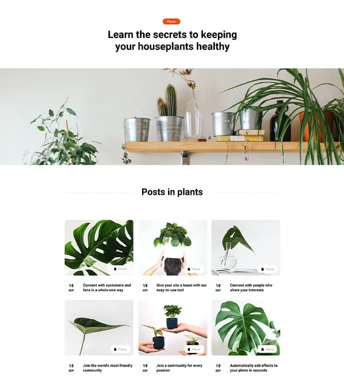 Blog story patterns, archives, mega menus & starter sites - Issue #35 2 WordPress archive page 1