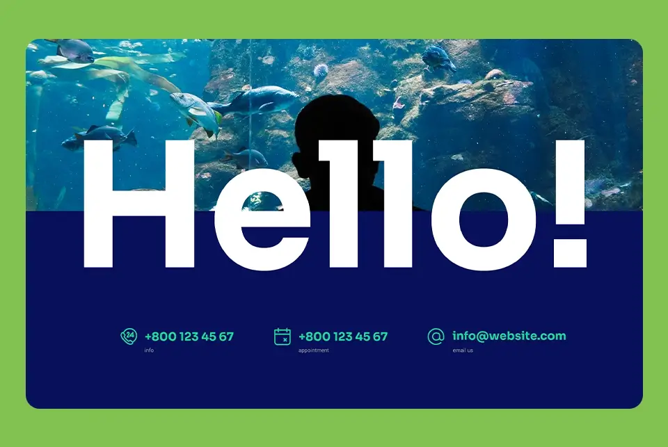 SaaS and Business sites join the starter collection | Issue #42 2 WordPress Business contact page starter site